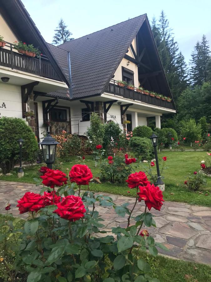 Complex Vile- Milana M Residence Poiana Brasov Exterior photo